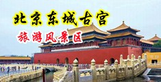 啊啊大黄片中国北京-东城古宫旅游风景区